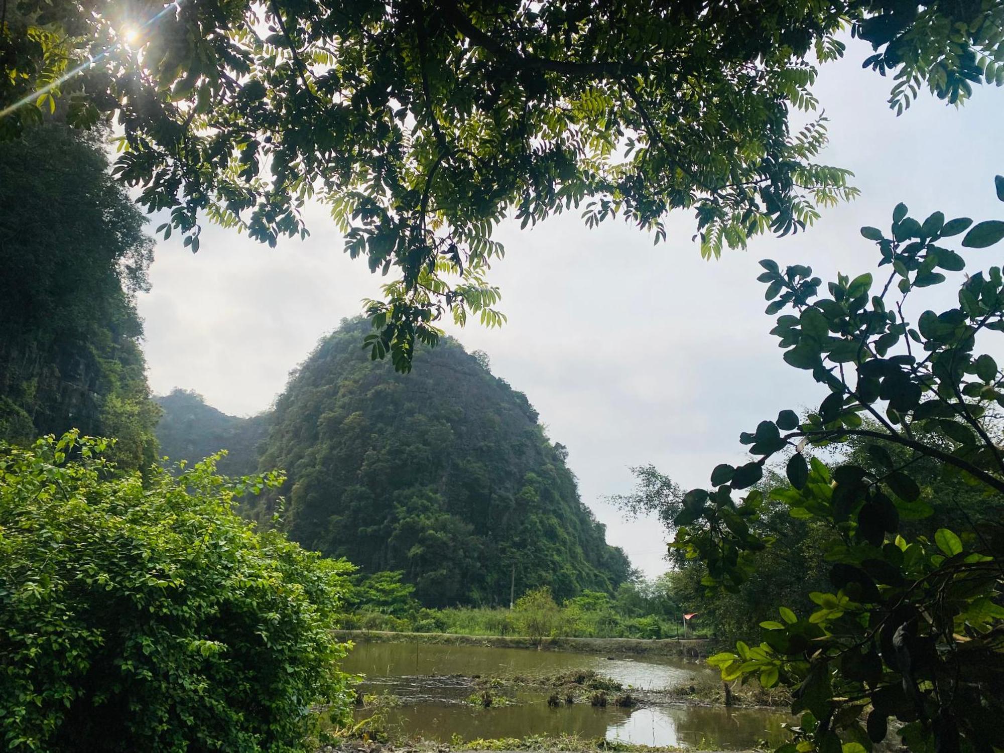 Tamcoc Viet Tan Homestay & Garden Ninh Bình Ngoại thất bức ảnh