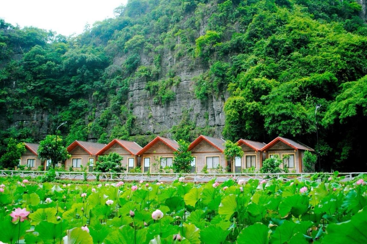 Tamcoc Viet Tan Homestay & Garden Ninh Bình Ngoại thất bức ảnh