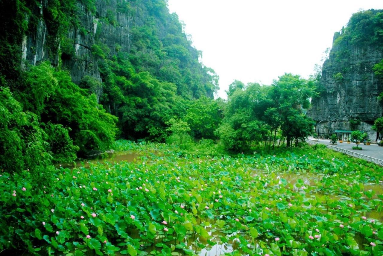Tamcoc Viet Tan Homestay & Garden Ninh Bình Ngoại thất bức ảnh