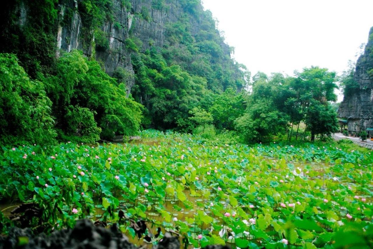 Tamcoc Viet Tan Homestay & Garden Ninh Bình Ngoại thất bức ảnh
